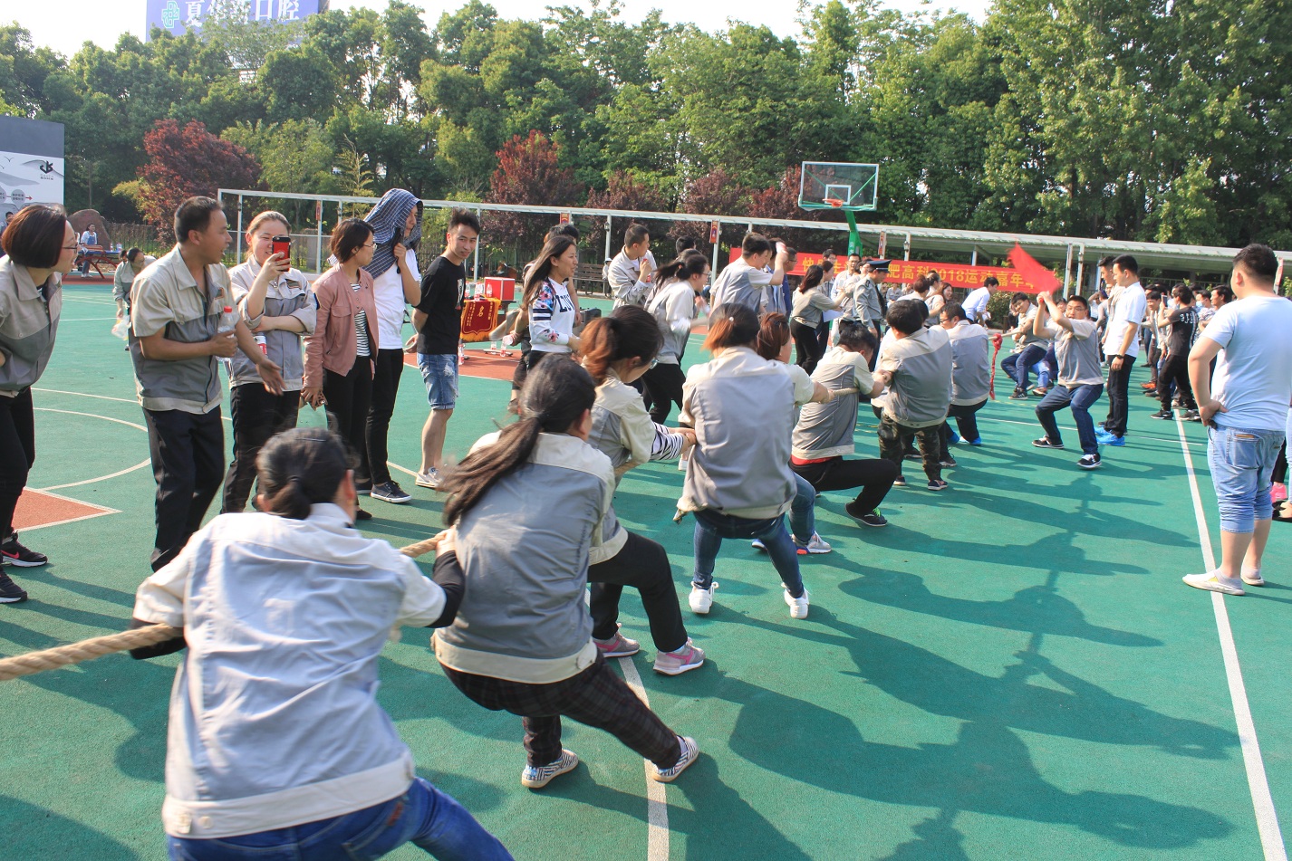 首页- J9集团国际站官网入口