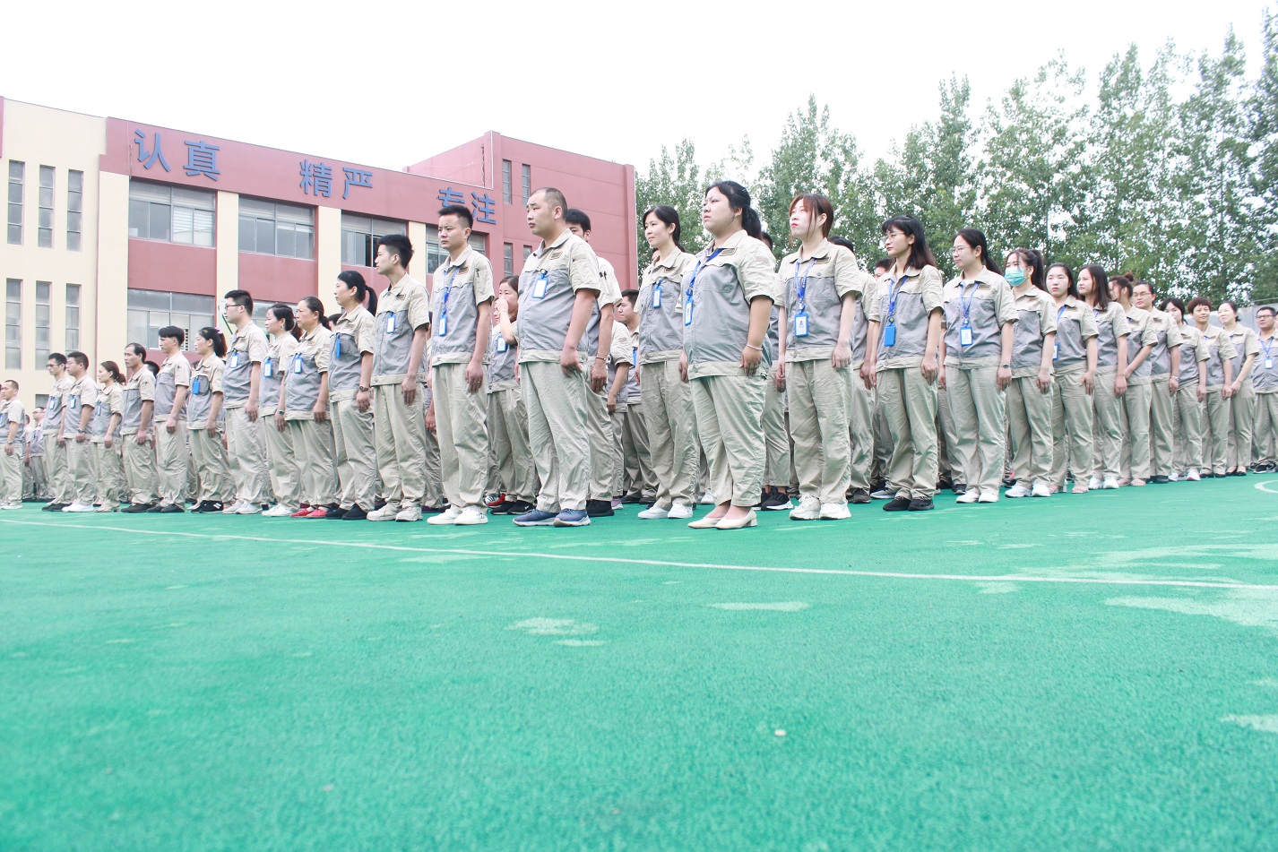 首页- J9集团国际站官网入口