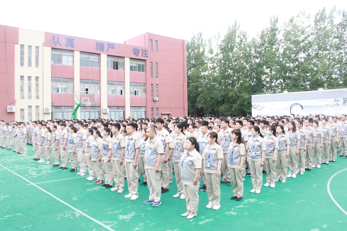 首页- J9集团国际站官网入口