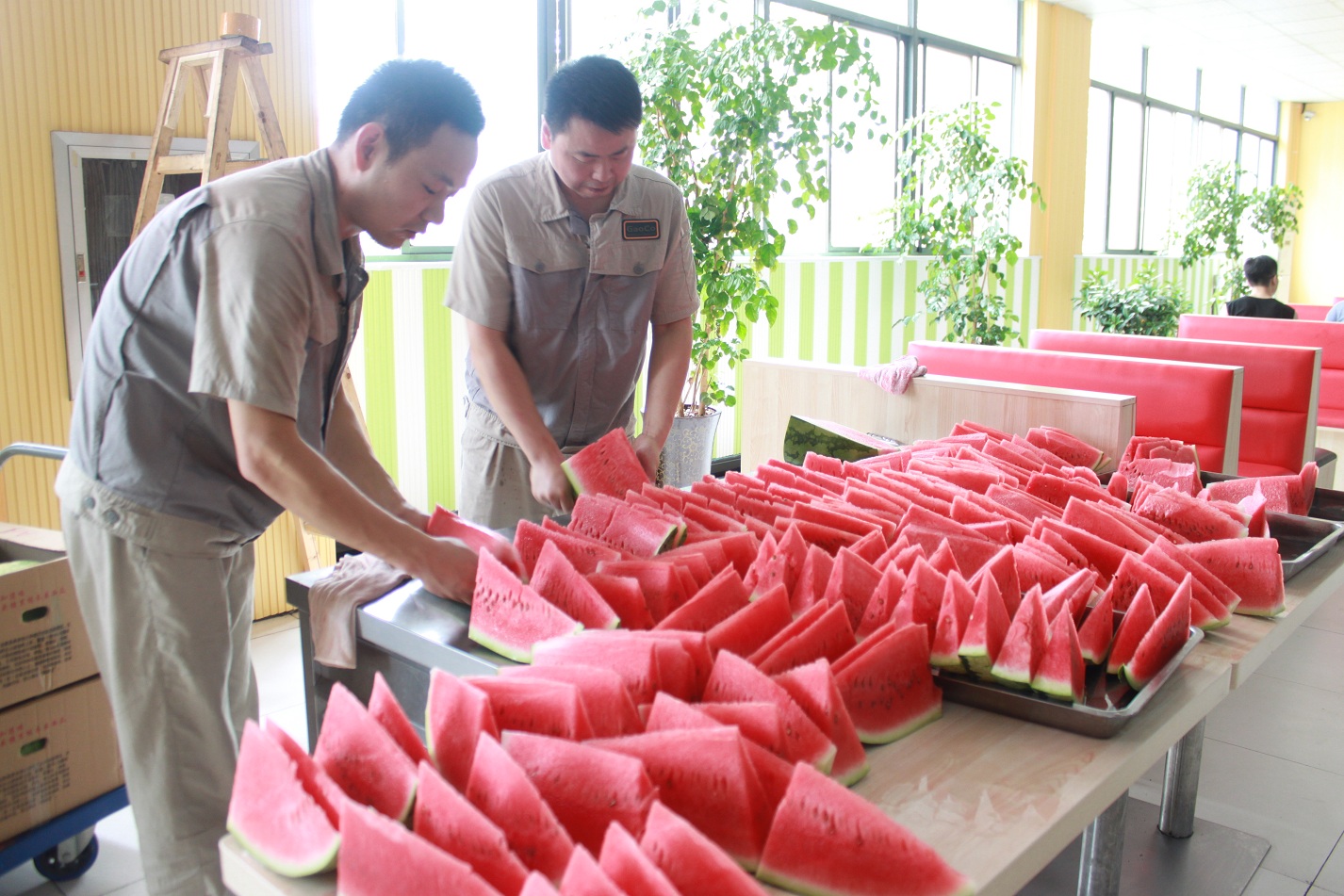 首页- J9集团国际站官网入口